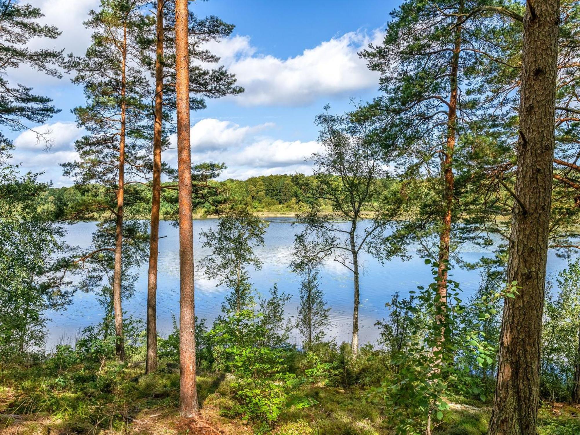 Holiday Home Gaslunda By Interhome Olofström Exterior foto